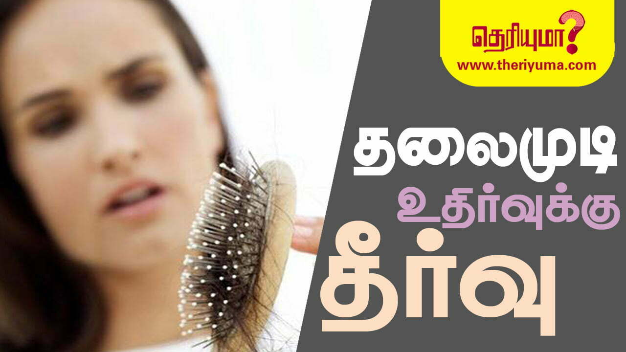 வழுக்கையில கூட முடி வளர வைக்கணுமா?... இந்த 5 பொருள் இருந்தாலே போதும்... | Hair  growth: How to regrow hair after suffering from major hair loss - Tamil  BoldSky