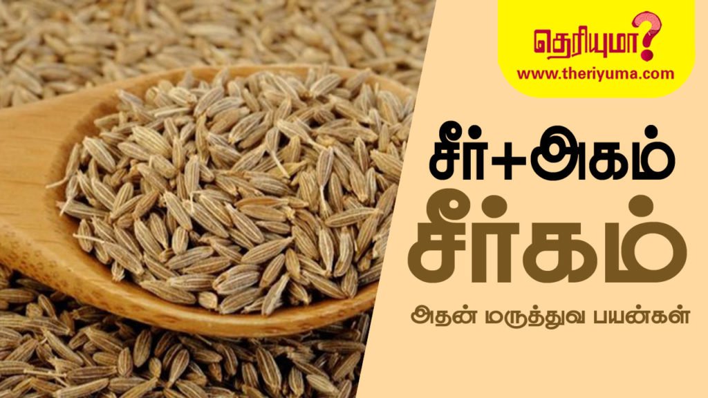 Cumin is a flowering plant in the family Apiaceae, native to a territory including the Middle East and stretching east to India. Its seeds
