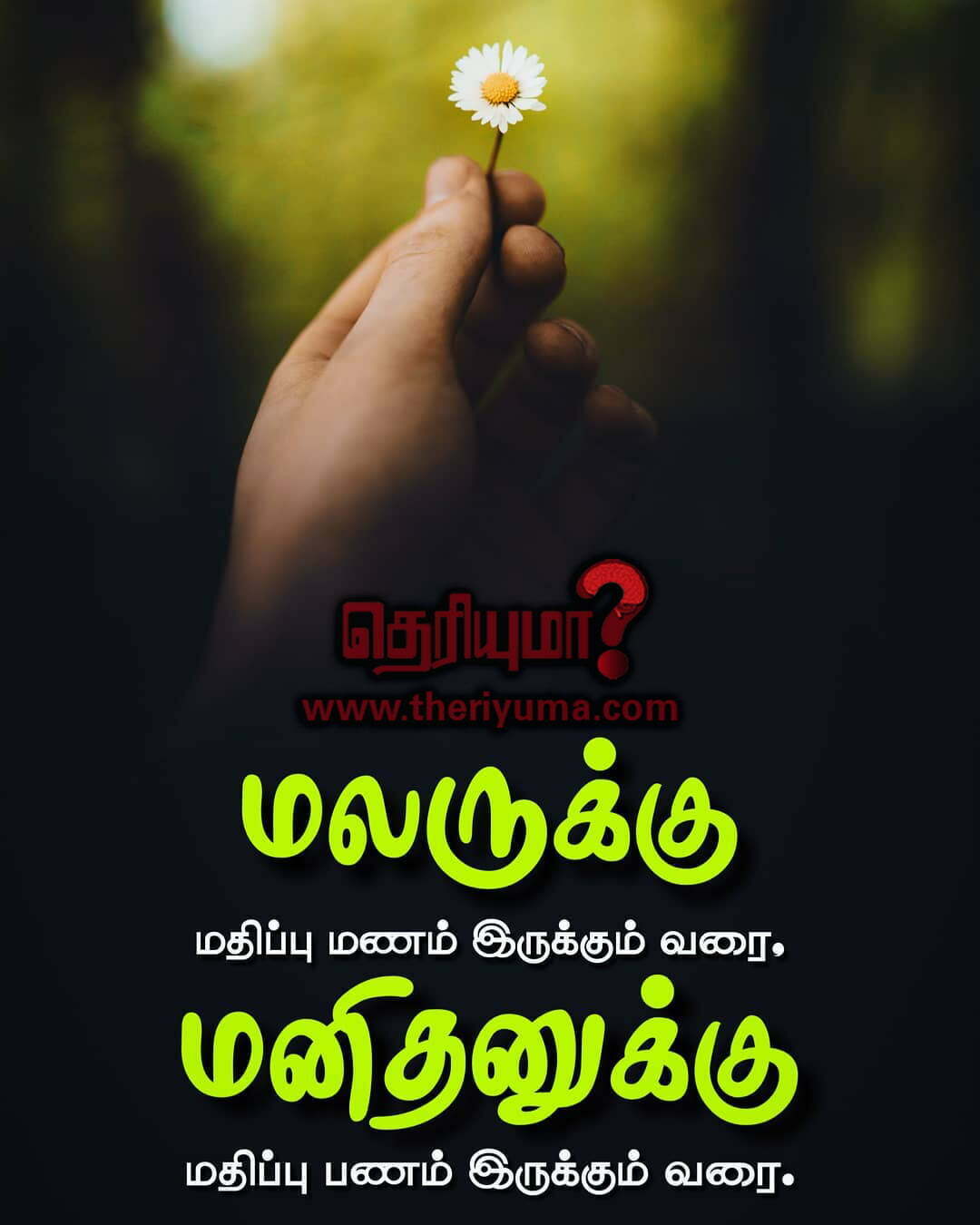 Motivational Quotes in Tamil தமிழ் மோட்டிவேஷனல் ...
