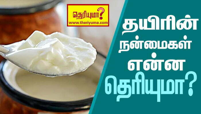 curd benefits for face in tamil more benefits in tamil thayir in english curd in malayalam curd rice in tamil difference between curd and yogurt in tamil curd and yogurt in tamil katti thayir curd in kannada how to make curd in tamil buttermilk benefits in tamil yogurt in tamil lemon benefits in tamil buttermilk in tamil yogurt benefits