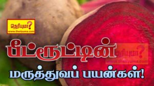 beetroot malt benefits in tamil carrot and beetroot juice benefits in tamil beetroot juice benefits for face in tamil beetroot juice side effects in tamil beetroot maruthuvam tamil beetroot juice recipe in tamil beetroot in tamil meaning beetroot juice disadvantages in tamil Per beetroot malt benefits in tamil beetroot juice side effects in tamil beetroot in tamil meaning beetroot juice recipe in tamil beetroot juice disadvantages in tamil carrot and beetroot juice benefits in tamil beetroot benefits in tamil language beetroot juice benefits in tamil carrot and beetroot juice benefits in tamil beetroot juice benefits for skin in tamil beetroot health benefits in tamil beetroot juice benefits for weight loss in tamil apple beetroot carrot juice benefits in tamil beetroot soap benefits in tamil beetroot juice benefits in pregnancy tamil beetroot malt benefits in tamil beetroot and carrot juice benefits in tamil beetroot vegetable benefits in tamil beetroot face pack benefits in tamil beetroot powder benefits in tamil beetroot lip balm benefits in tamil beetroot medical benefits in tamil