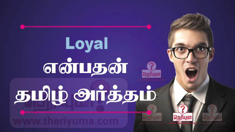  Loyal Meaning In Tamil Loyal 