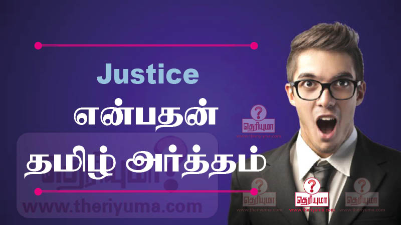 Justice To Meaning In Tamil