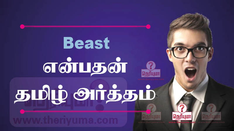  Beast Meaning In Tamil Beast 