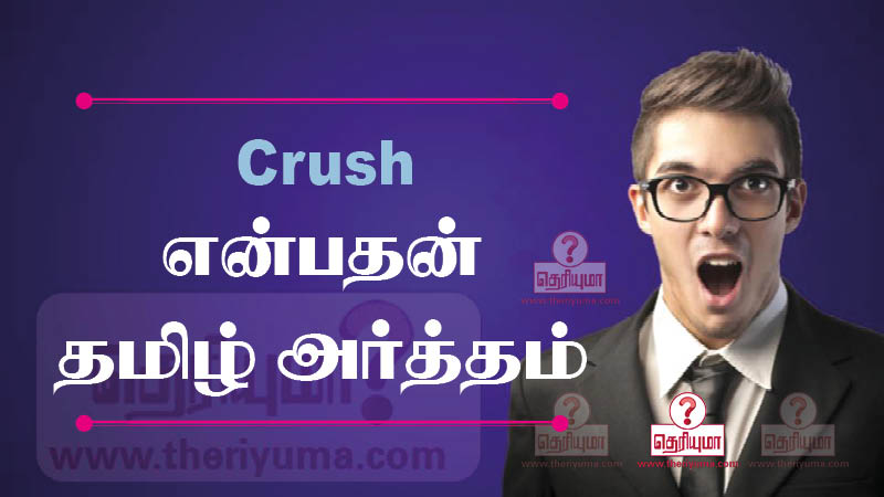 crush-meaning-in-tamil-crush-theriyuma-tamil