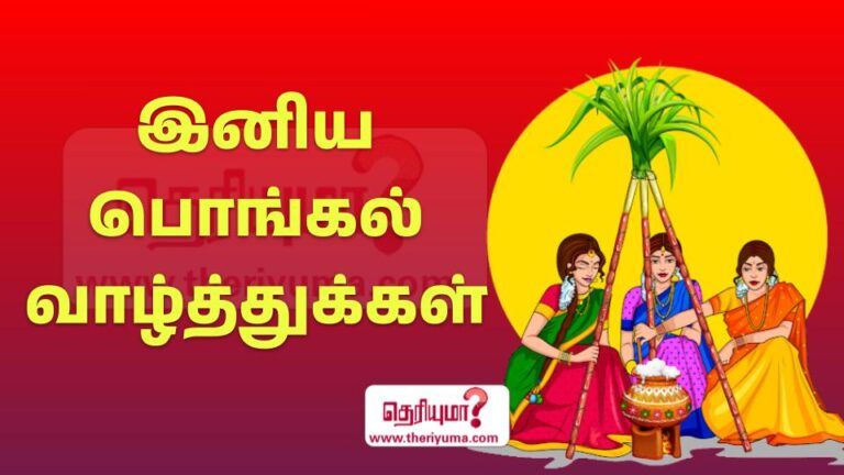 Pongal vazhthukkal in tamil | இனிய பொங்கல் வாழ்த்துக்கள் in tamil ...