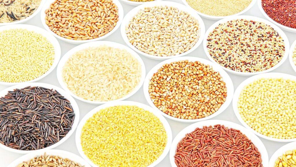 List of grains types in tamil, Grains types in tamil with pictures, in tamil, List of grains meaning in tamil, List of grainsIn tamil and english