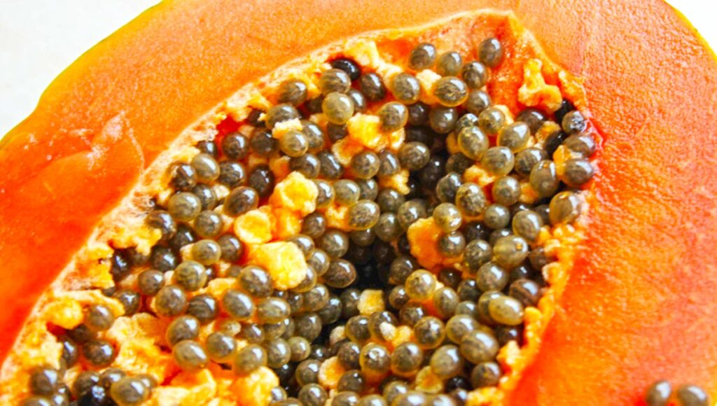 is it ok to eat papaya seeds, what happens if you eat papaya seeds every day, are papaya seeds safe to eat raw, do you have to chew papaya seeds to get the benefits, how to use papaya seeds for skin
