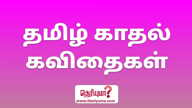 tamil kadhal kavithai, காதல் கவிதை, தமிழ் கவிதைகள் காதல், தமிழ் காதல் கவிதைகள், காதல் உணர்வு கவிதை, காதல் கவிதை வரிகள், காதல் கவிதைகள் தமிழ், காதல் கவிதைகள் வரிகள், தமிழ் காதல் கவிதை வரிகள், காதல் கவிதைகள் தமிழ் வரிகள், கவிதைகள் காதல், நீ வேண்டும் காதல் கவிதை, அழகு கவிதை, உண்மை காதல் கவிதைகள், அழகான கவிதைகள், tamil kavithai lyrics in english, english kavithai lines love, உண்மை காதல் கவிதை வரிகள், அழகு கவிதை வரிகள், love kavithaigal english